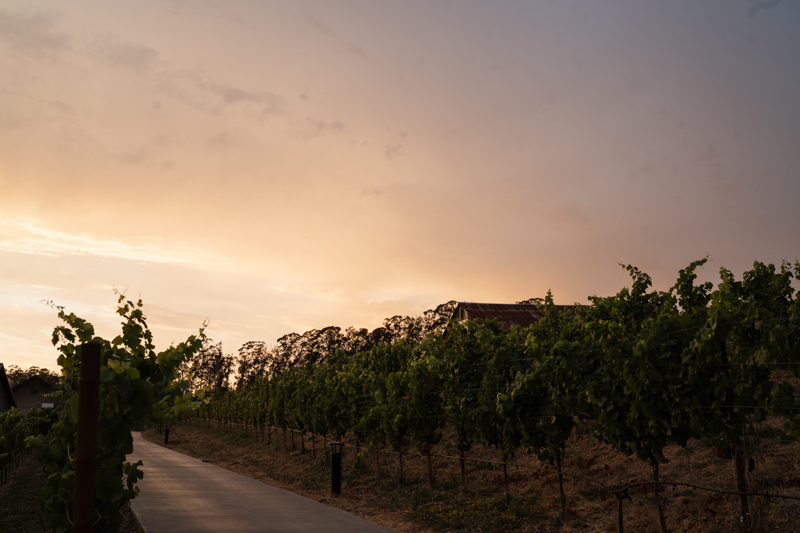 stanley ranch auberge resort Napa wedding