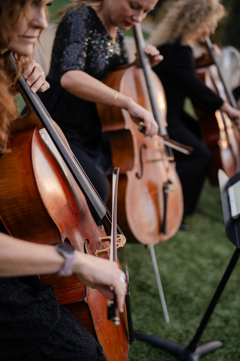 12 piece orchestra for wedding