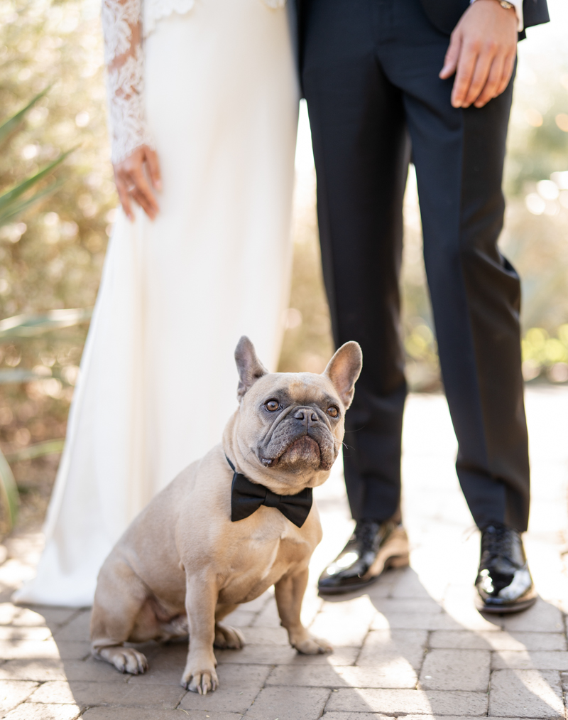 couple with dog