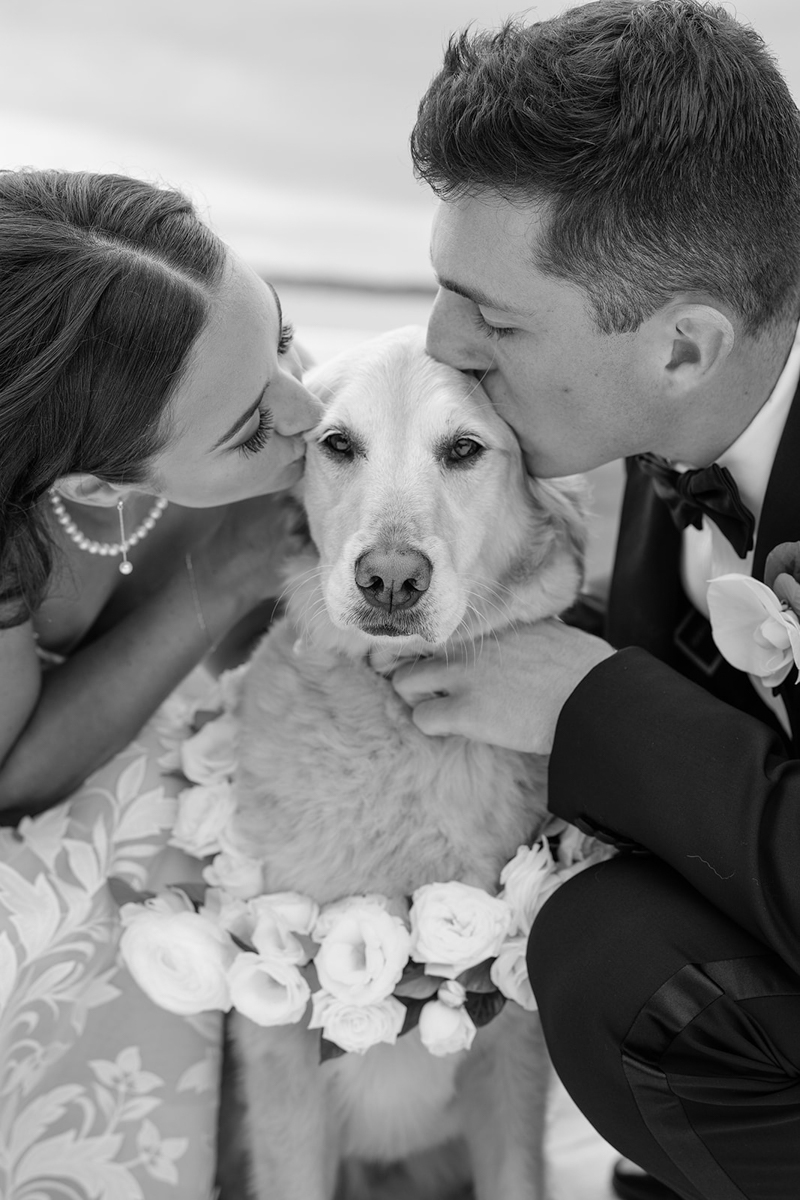 bride and groom with their dog