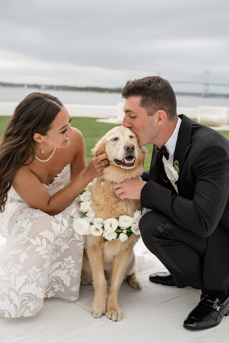 bride and groom with their dog