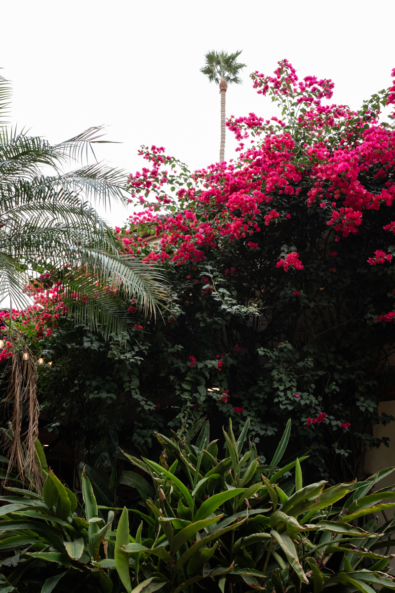 tropical wedding